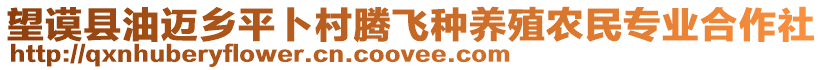 望謨縣油邁鄉(xiāng)平卜村騰飛種養(yǎng)殖農(nóng)民專業(yè)合作社