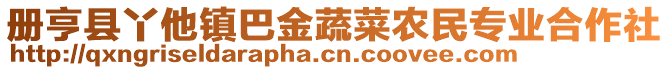 冊亨縣丫他鎮(zhèn)巴金蔬菜農(nóng)民專業(yè)合作社