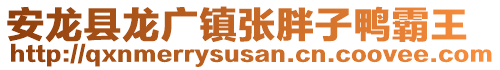 安龍縣龍廣鎮(zhèn)張胖子鴨霸王