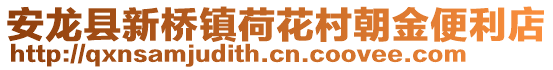 安龙县新桥镇荷花村朝金便利店