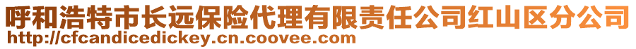 呼和浩特市長遠(yuǎn)保險代理有限責(zé)任公司紅山區(qū)分公司