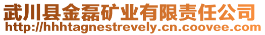 武川縣金磊礦業(yè)有限責任公司