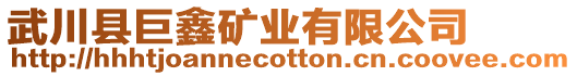 武川縣巨鑫礦業(yè)有限公司