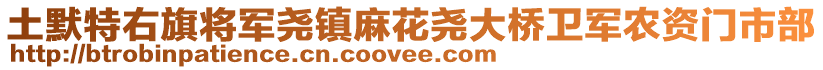 土默特右旗将军尧镇麻花尧大桥卫军农资门市部