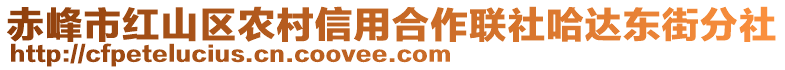 赤峰市紅山區(qū)農(nóng)村信用合作聯(lián)社哈達(dá)東街分社