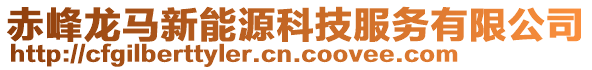 赤峰龙马新能源科技服务有限公司