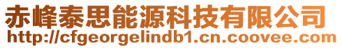 赤峰泰思能源科技有限公司