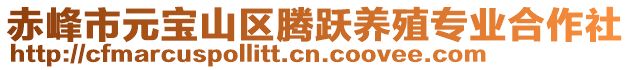 赤峰市元寶山區(qū)騰躍養(yǎng)殖專業(yè)合作社