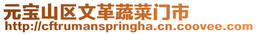 元寶山區文革蔬菜門市