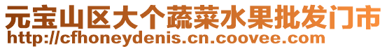 元寶山區(qū)大個(gè)蔬菜水果批發(fā)門(mén)市