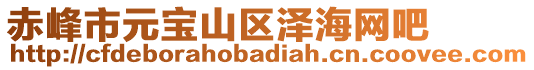 赤峰市元寶山區(qū)澤海網(wǎng)吧