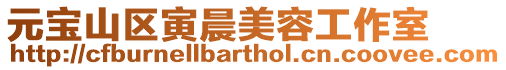 元寶山區寅晨美容工作室