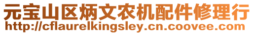 元寶山區炳文農機配件修理行