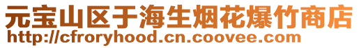 元寶山區(qū)于海生煙花爆竹商店