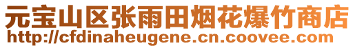 元寶山區張雨田煙花爆竹商店