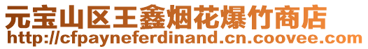 元寶山區(qū)王鑫煙花爆竹商店