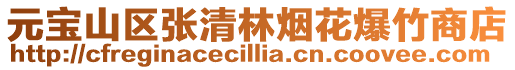 元寶山區張清林煙花爆竹商店