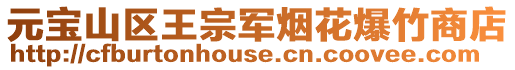元寶山區王宗軍煙花爆竹商店