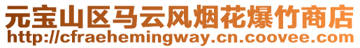 元寶山區(qū)馬云風(fēng)煙花爆竹商店