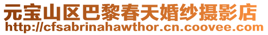 元寶山區(qū)巴黎春天婚紗攝影店