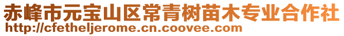 赤峰市元寶山區常青樹苗木專業合作社