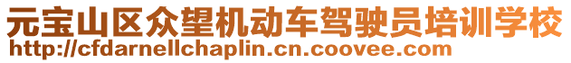 元寶山區(qū)眾望機動車駕駛員培訓(xùn)學(xué)校