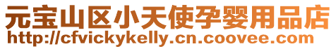 元寶山區(qū)小天使孕嬰用品店