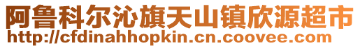 阿魯科爾沁旗天山鎮欣源超市