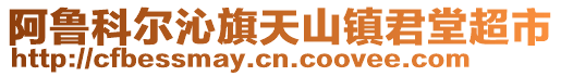 阿魯科爾沁旗天山鎮君堂超市