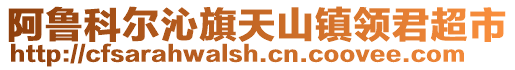 阿魯科爾沁旗天山鎮(zhèn)領(lǐng)君超市