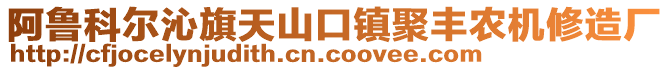 阿魯科爾沁旗天山口鎮(zhèn)聚豐農(nóng)機修造廠