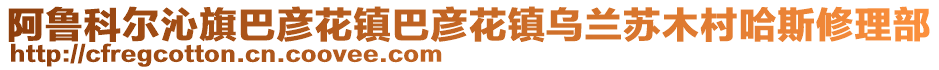 阿魯科爾沁旗巴彥花鎮(zhèn)巴彥花鎮(zhèn)烏蘭蘇木村哈斯修理部