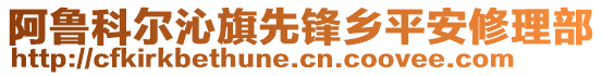 阿魯科爾沁旗先鋒鄉(xiāng)平安修理部