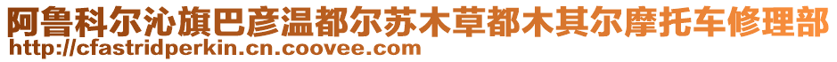 阿魯科爾沁旗巴彥溫都爾蘇木草都木其爾摩托車修理部