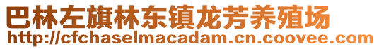 巴林左旗林東鎮(zhèn)龍芳養(yǎng)殖場