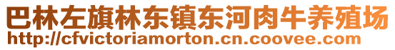 巴林左旗林東鎮東河肉牛養殖場