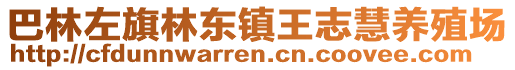 巴林左旗林東鎮(zhèn)王志慧養(yǎng)殖場(chǎng)