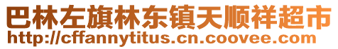 巴林左旗林東鎮天順祥超市