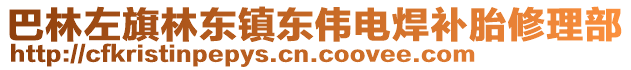 巴林左旗林東鎮(zhèn)東偉電焊補(bǔ)胎修理部