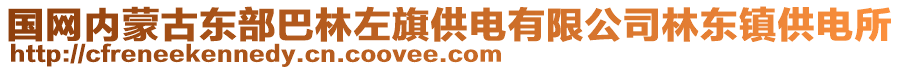 國(guó)網(wǎng)內(nèi)蒙古東部巴林左旗供電有限公司林東鎮(zhèn)供電所