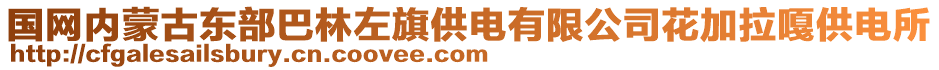 國網(wǎng)內(nèi)蒙古東部巴林左旗供電有限公司花加拉嘎供電所