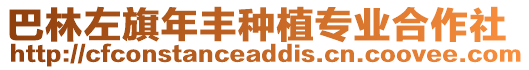 巴林左旗年豐種植專業(yè)合作社