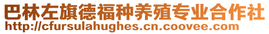 巴林左旗德福種養(yǎng)殖專業(yè)合作社