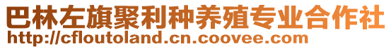 巴林左旗聚利種養(yǎng)殖專業(yè)合作社