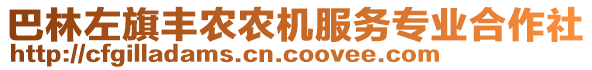 巴林左旗豐農(nóng)農(nóng)機(jī)服務(wù)專(zhuān)業(yè)合作社