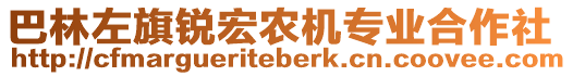 巴林左旗銳宏農(nóng)機專業(yè)合作社