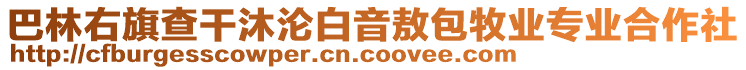 巴林右旗查干沐淪白音敖包牧業(yè)專業(yè)合作社