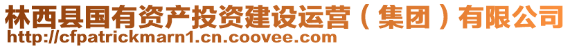 林西縣國有資產(chǎn)投資建設(shè)運(yùn)營（集團(tuán)）有限公司