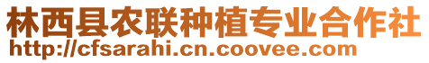 林西縣農(nóng)聯(lián)種植專業(yè)合作社