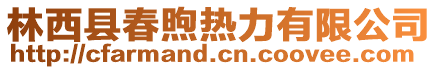 林西縣春煦熱力有限公司